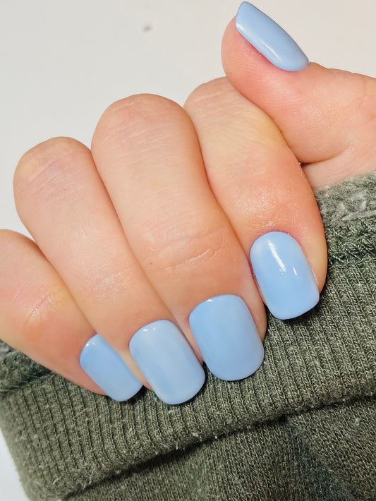 BLUEBERRY MILK
