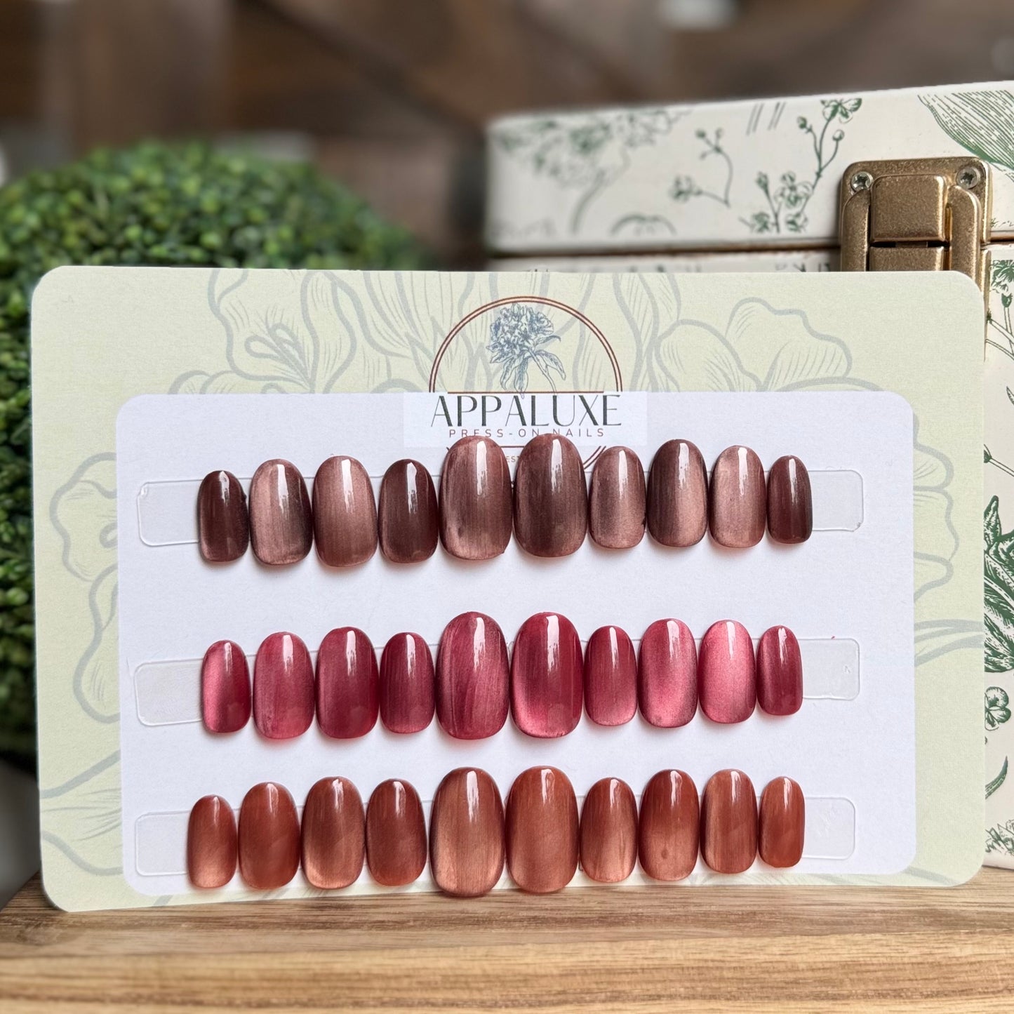 FALL FAVORITES - CAT EYE TRIO COLLECTION