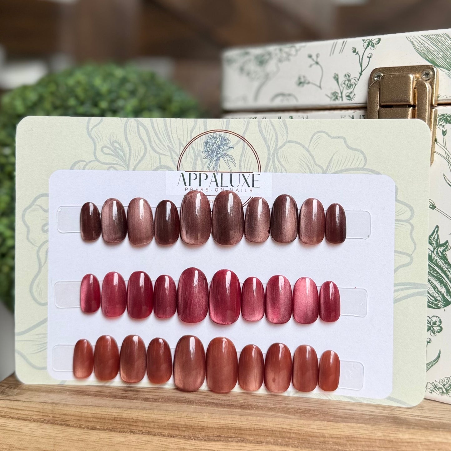 FALL FAVORITES - CAT EYE TRIO COLLECTION