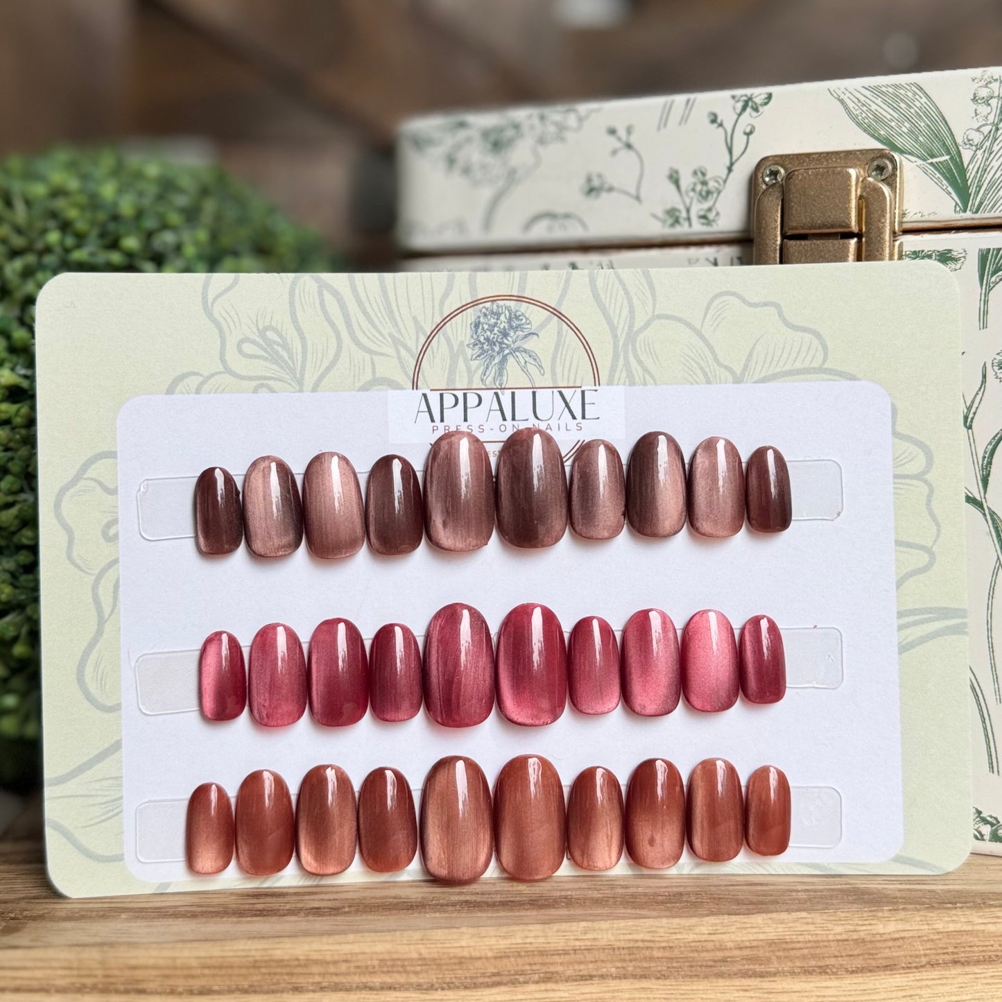 FALL FAVORITES - CAT EYE TRIO COLLECTION
