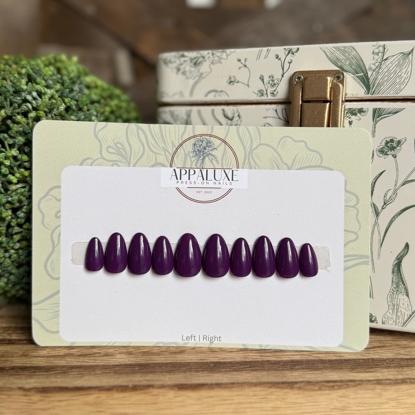 WILD ELDERBERRY
