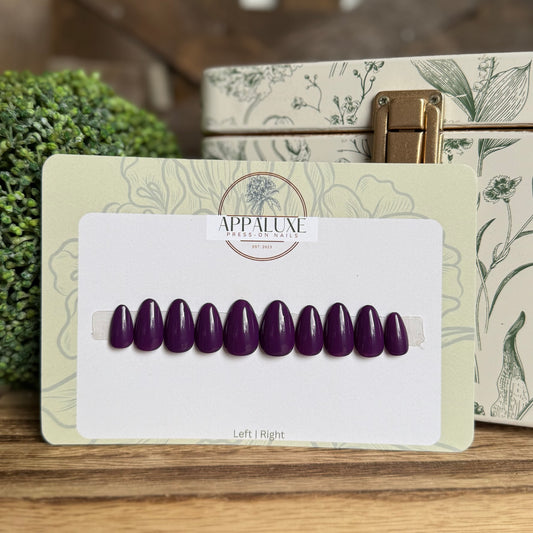 WILD ELDERBERRY
