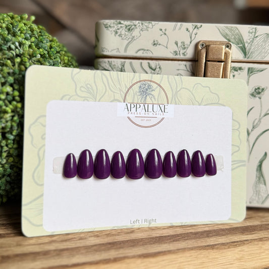 WILD ELDERBERRY