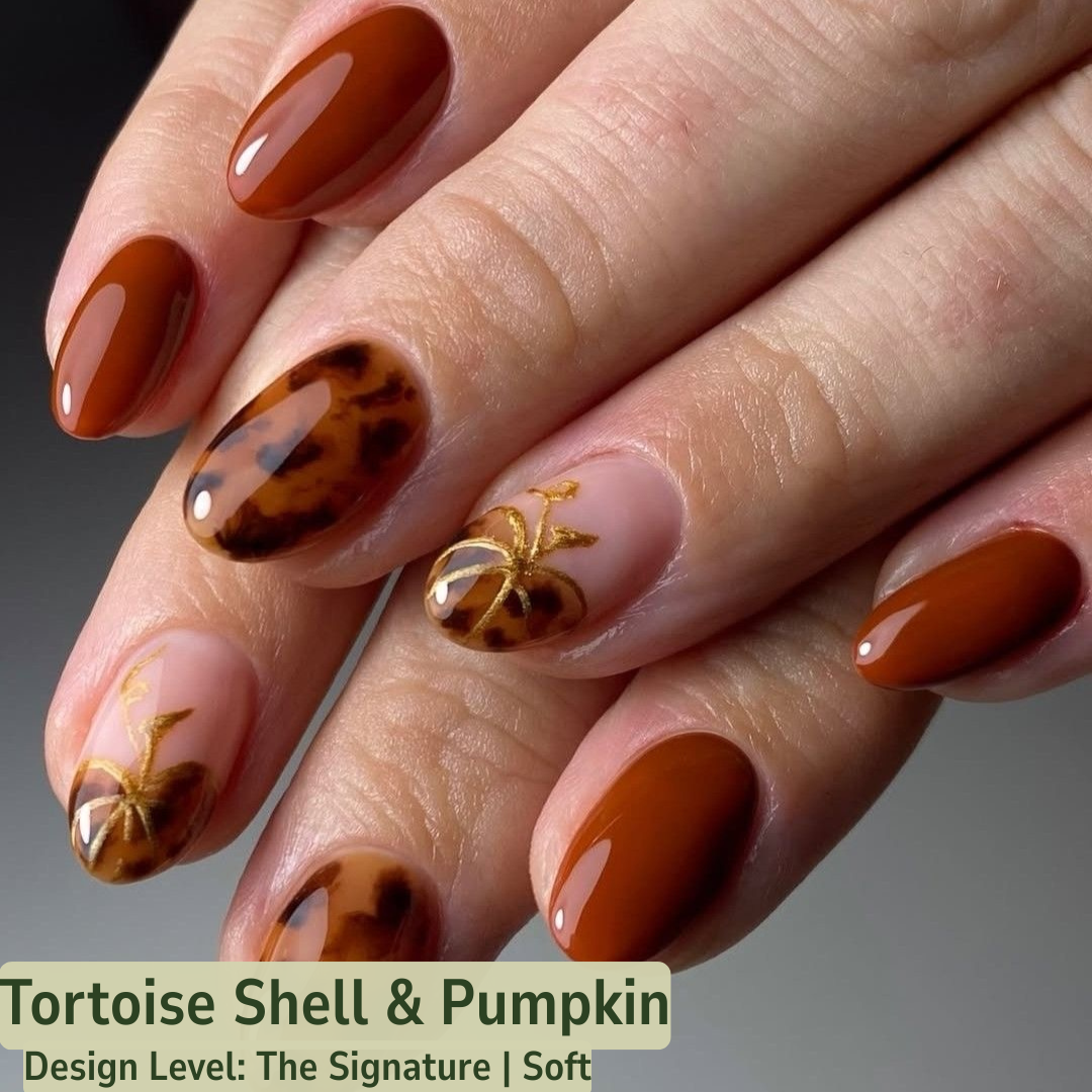 Inspiration Nails – Pick Your Perfect Set