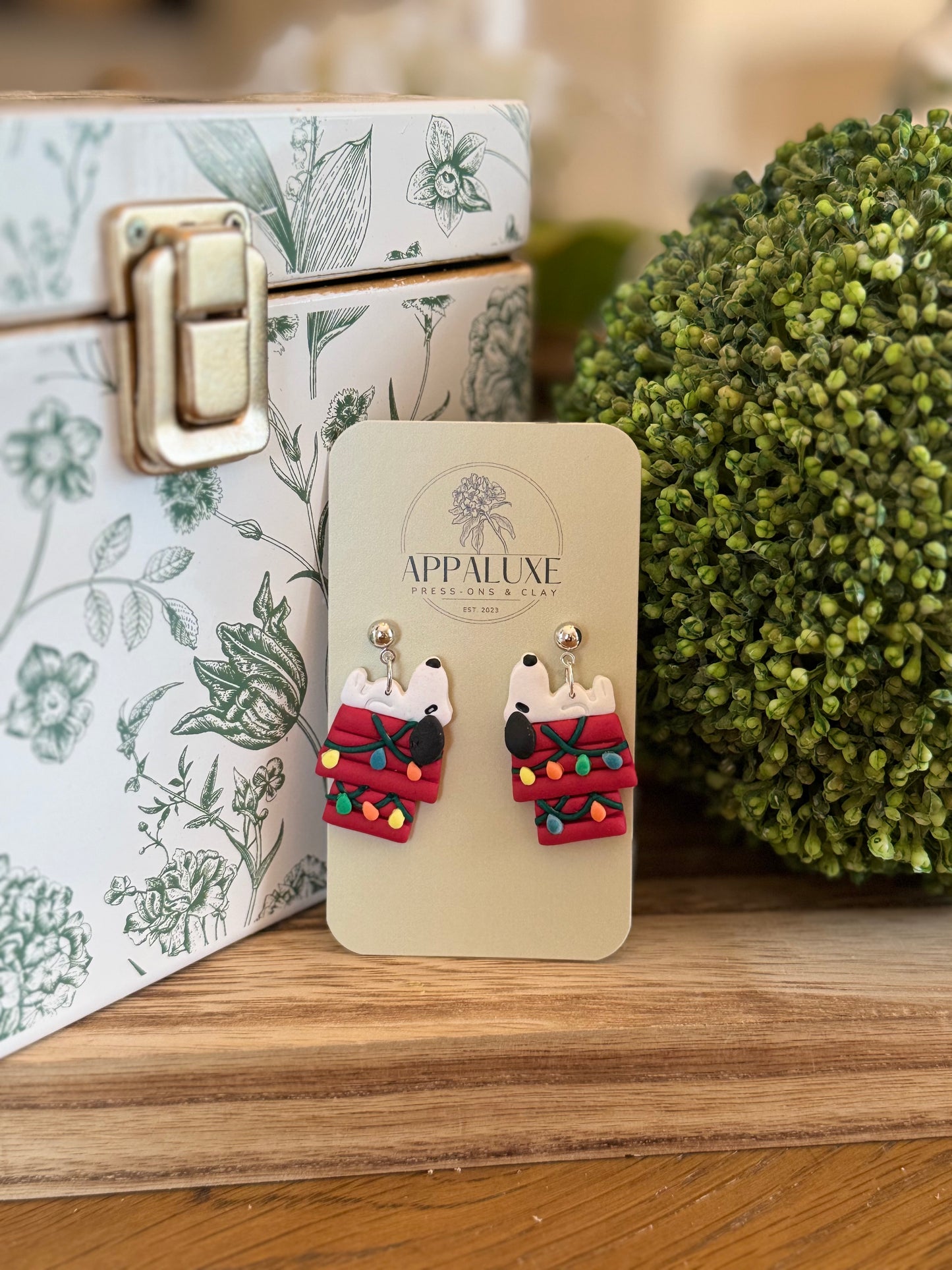 Snoopy on Christmas House