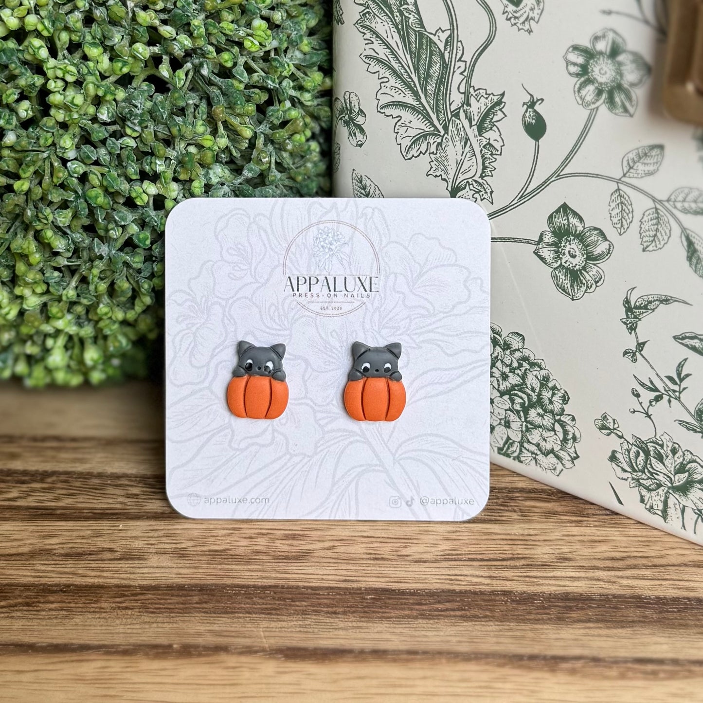 KITTEN ON PUMPKIN- STUDS