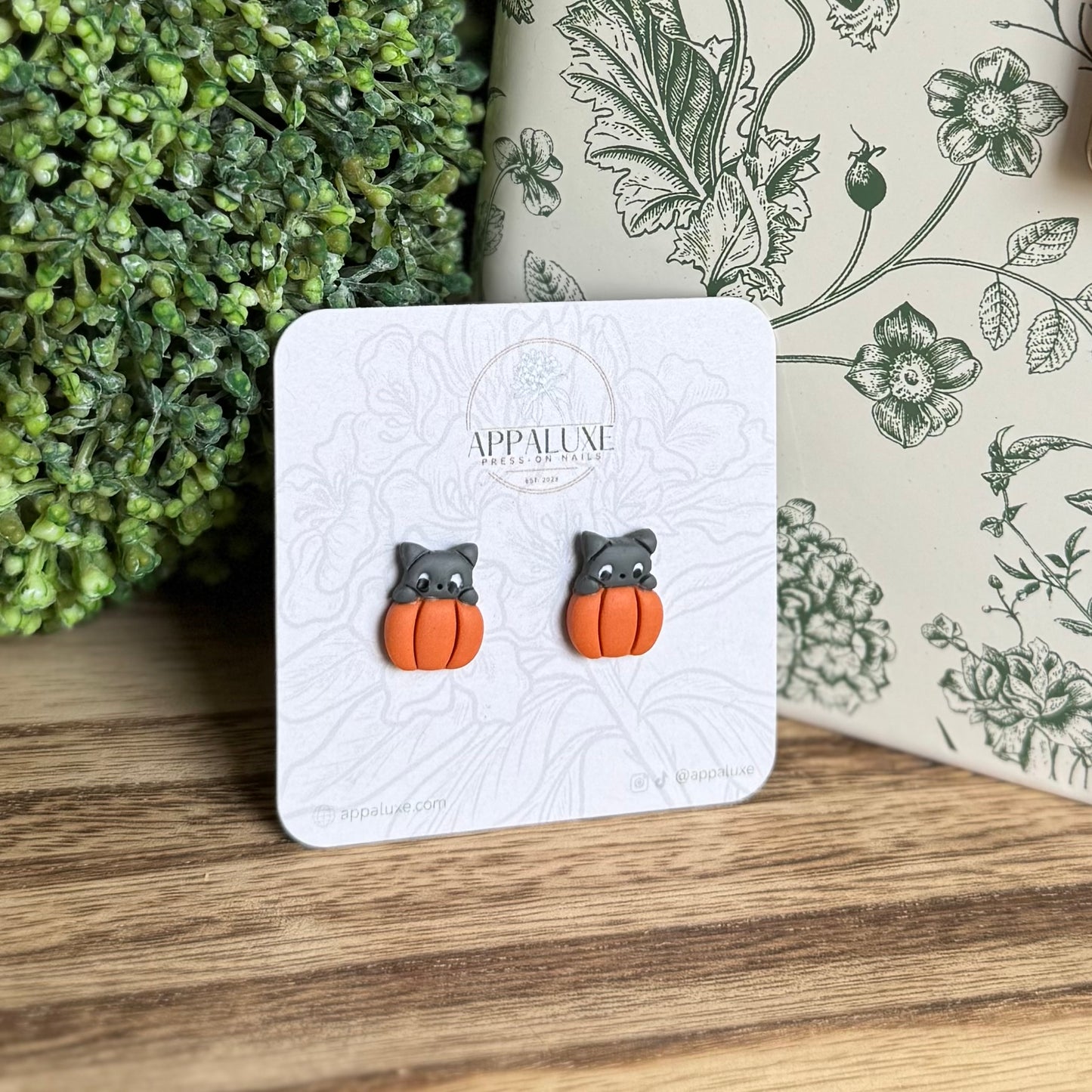 KITTEN ON PUMPKIN- STUDS