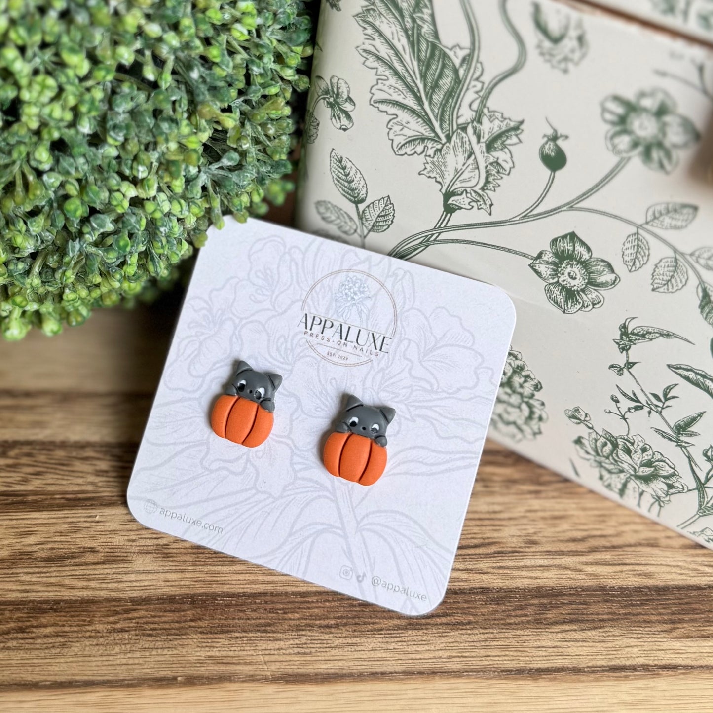 KITTEN ON PUMPKIN- STUDS