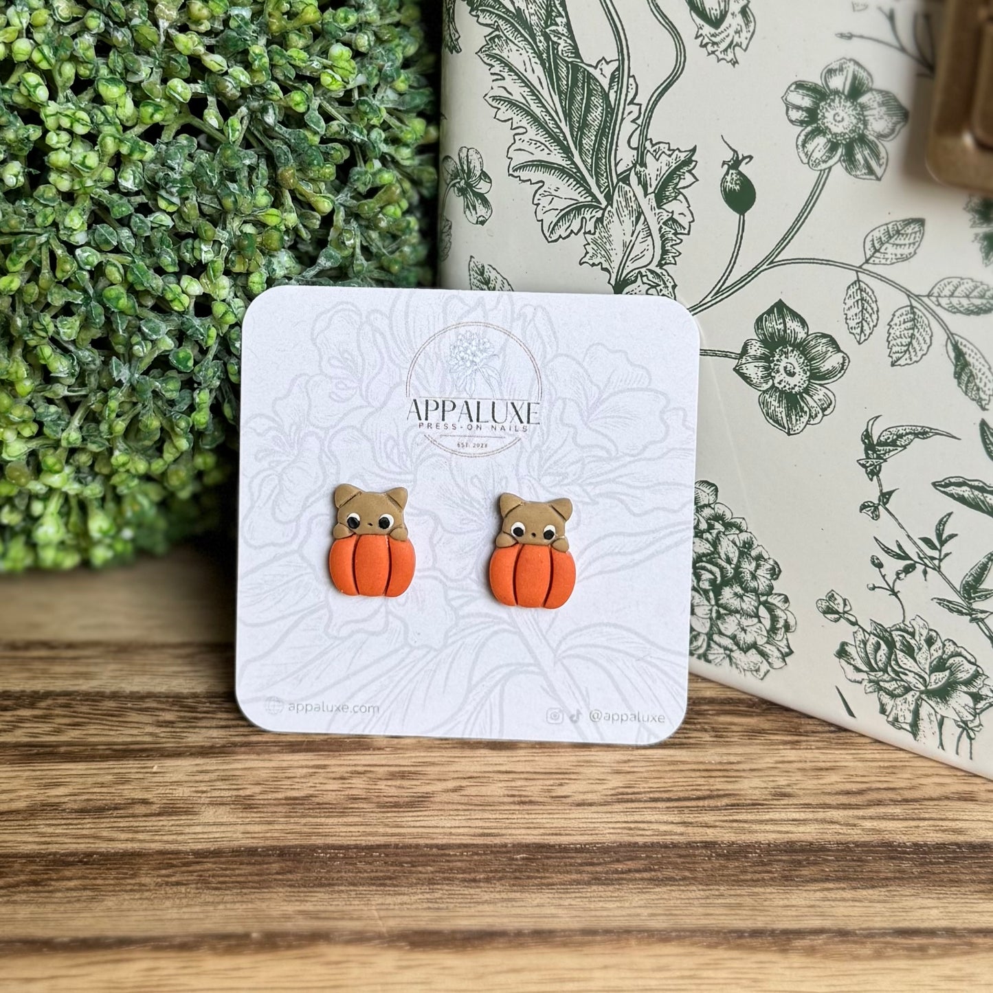 KITTEN ON PUMPKIN- STUDS