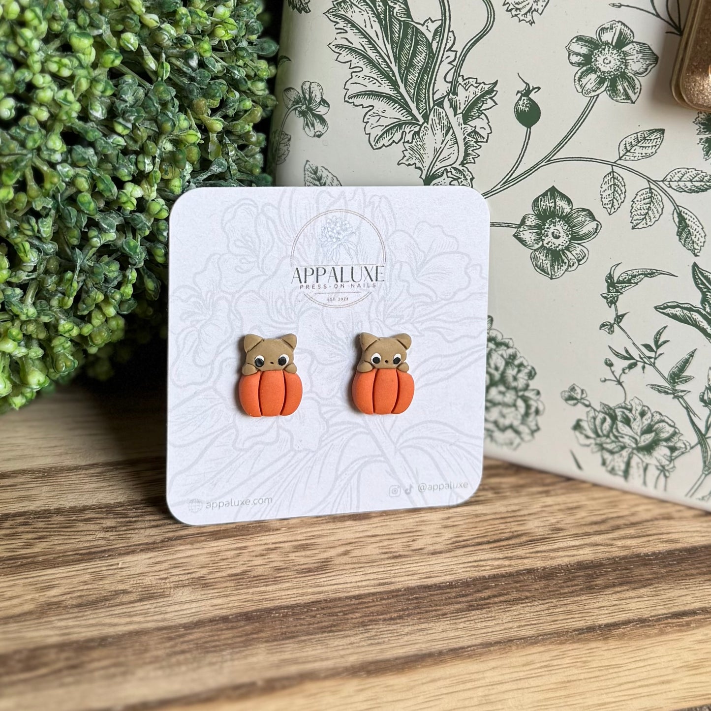 KITTEN ON PUMPKIN- STUDS