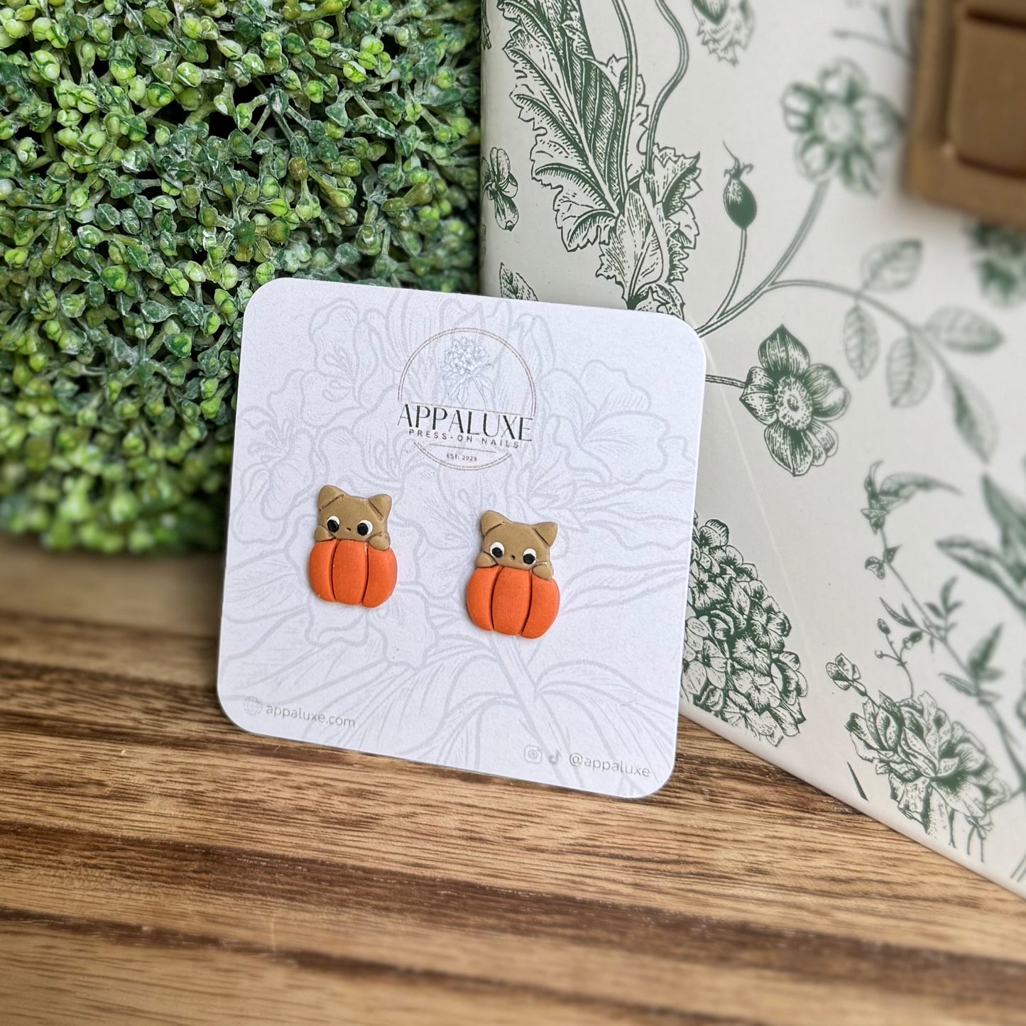 KITTEN ON PUMPKIN- STUDS