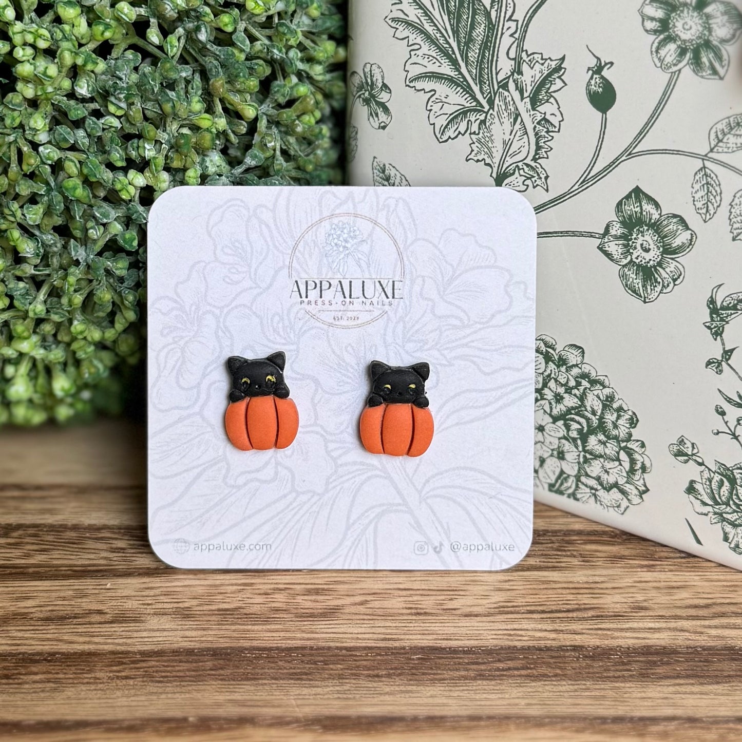 KITTEN ON PUMPKIN- STUDS