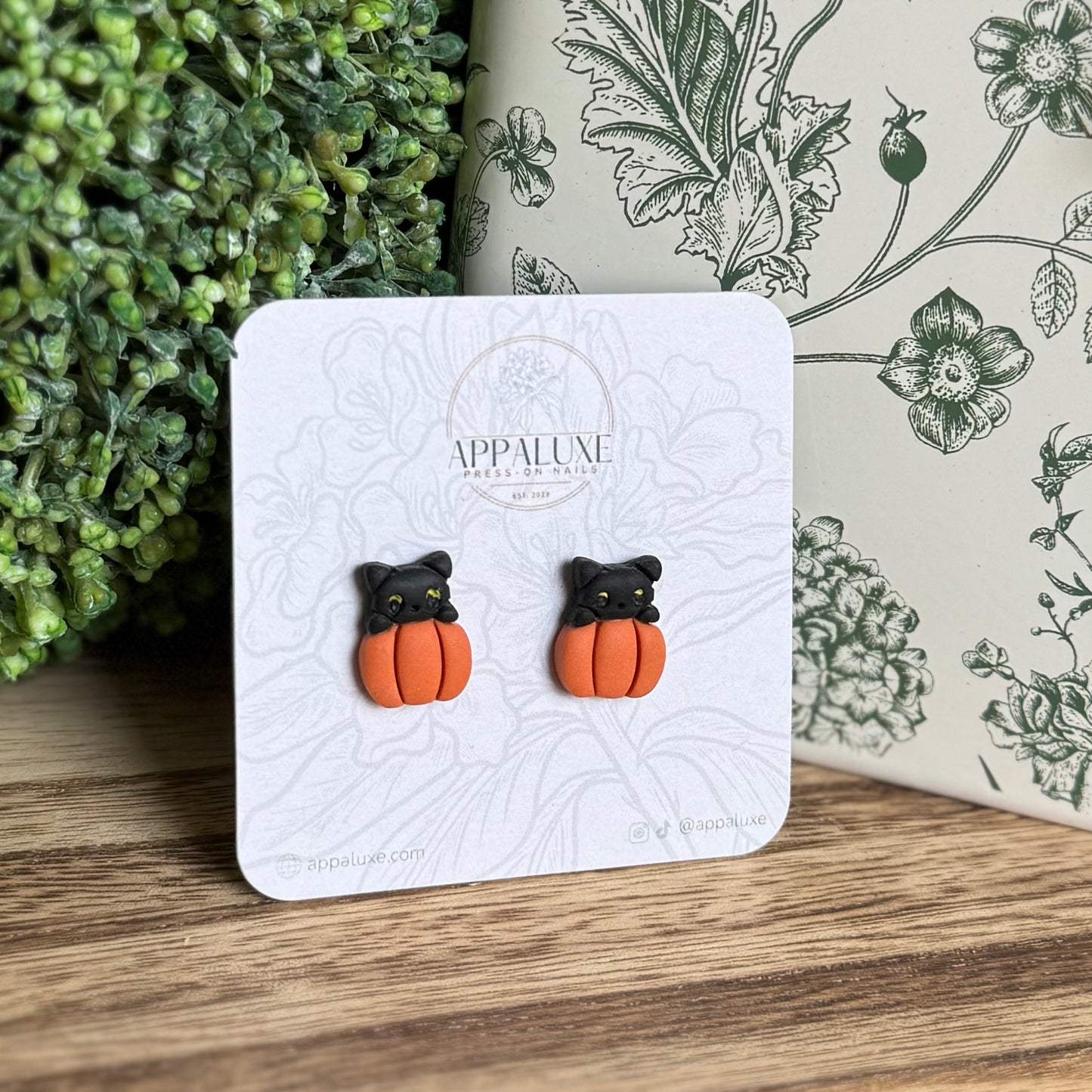 KITTEN ON PUMPKIN- STUDS