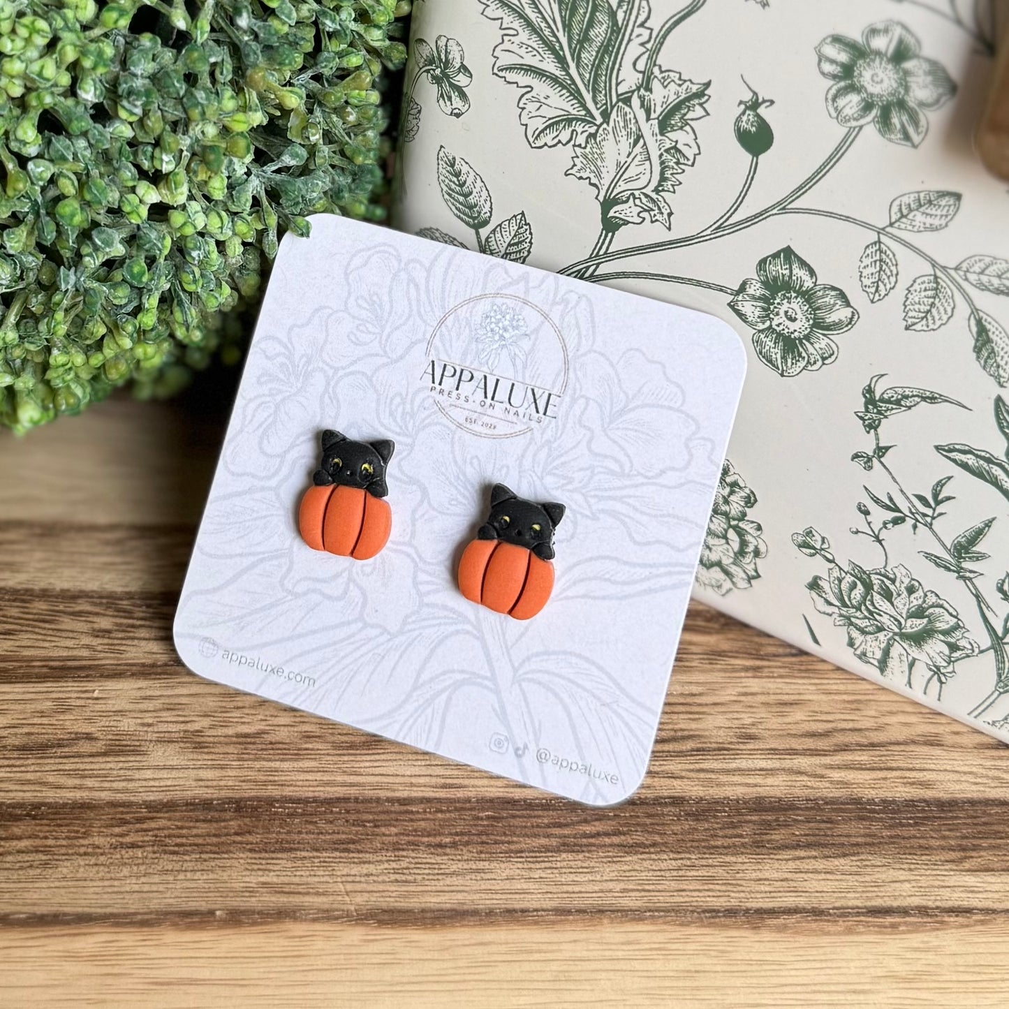 KITTEN ON PUMPKIN- STUDS