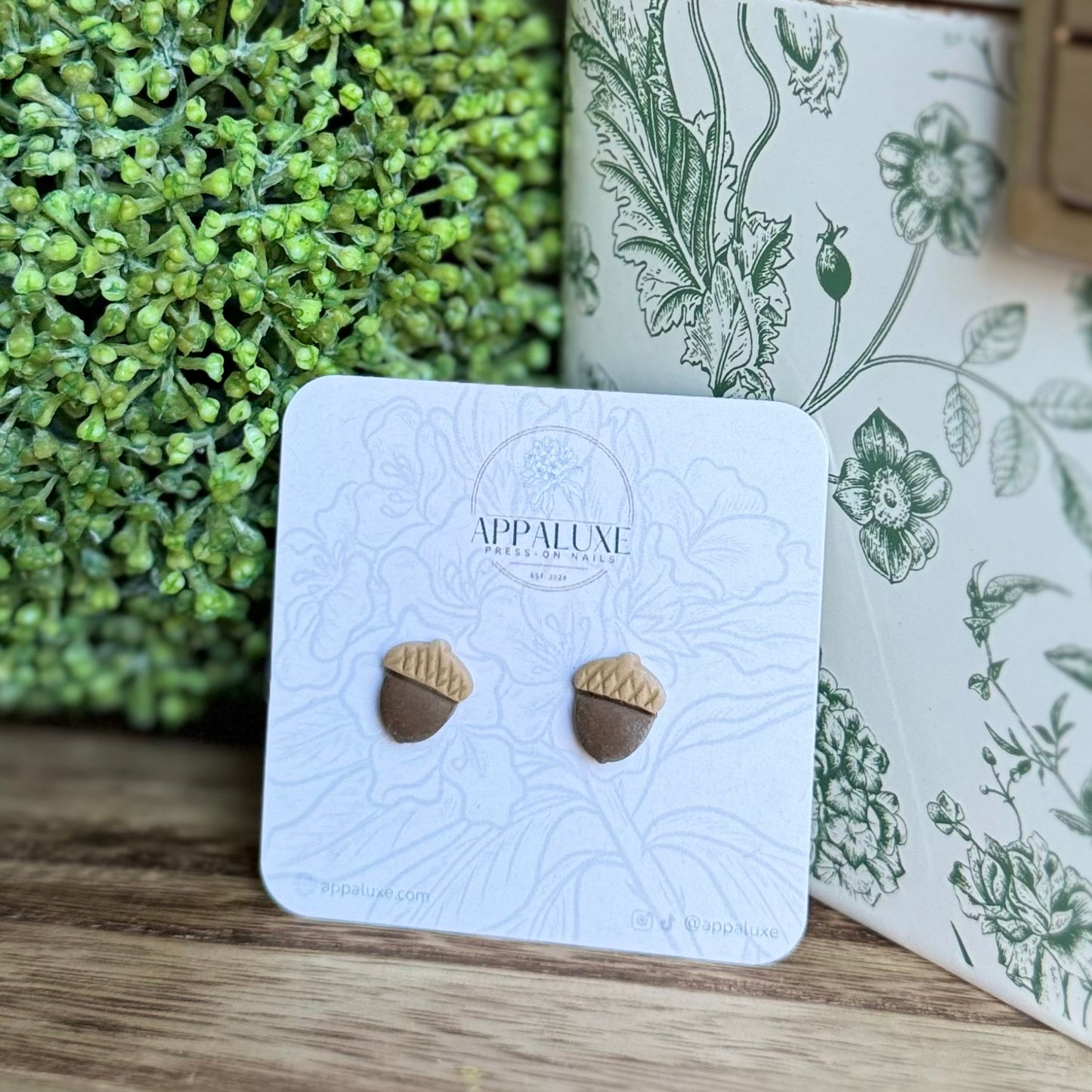 ACORN - STUDS