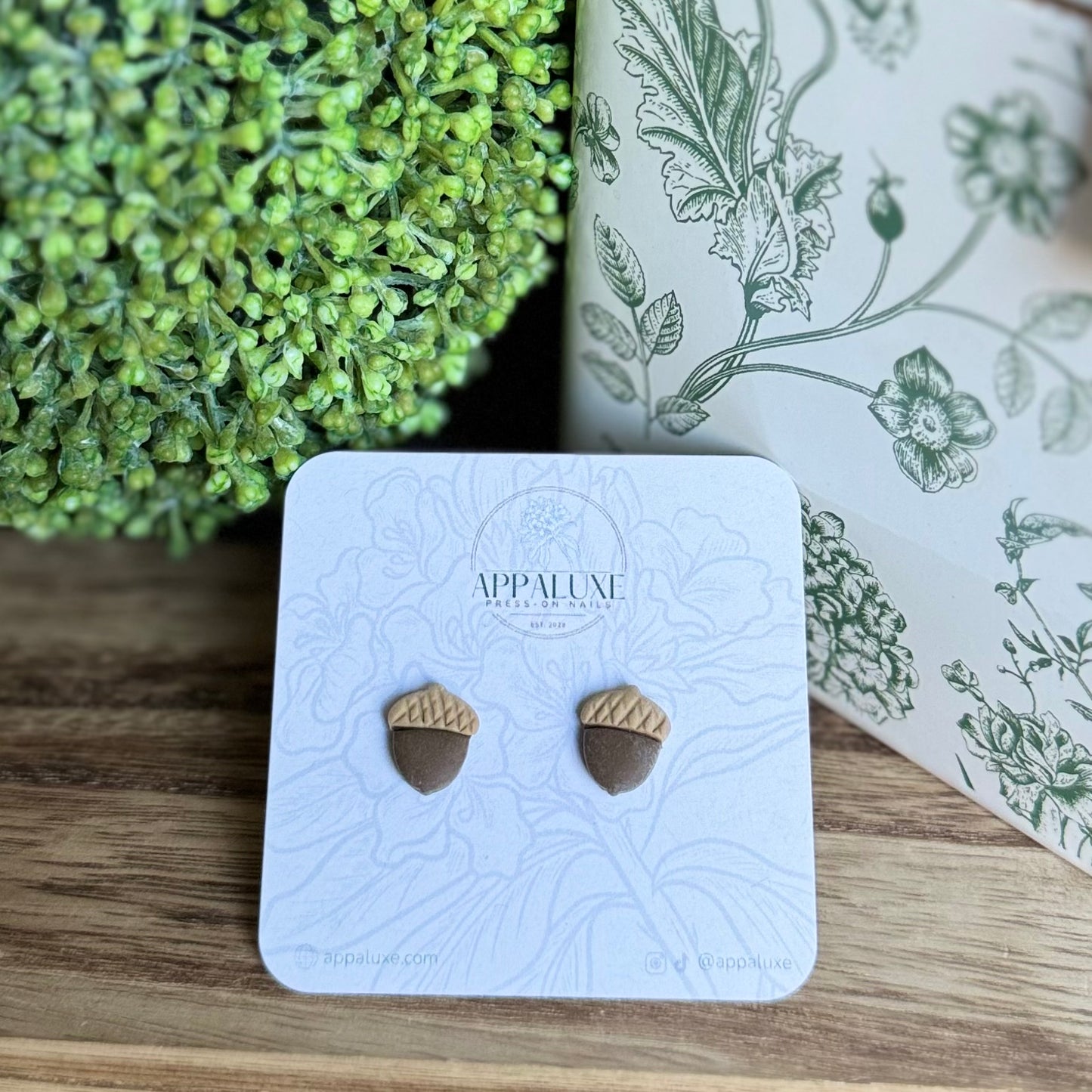 ACORN - STUDS